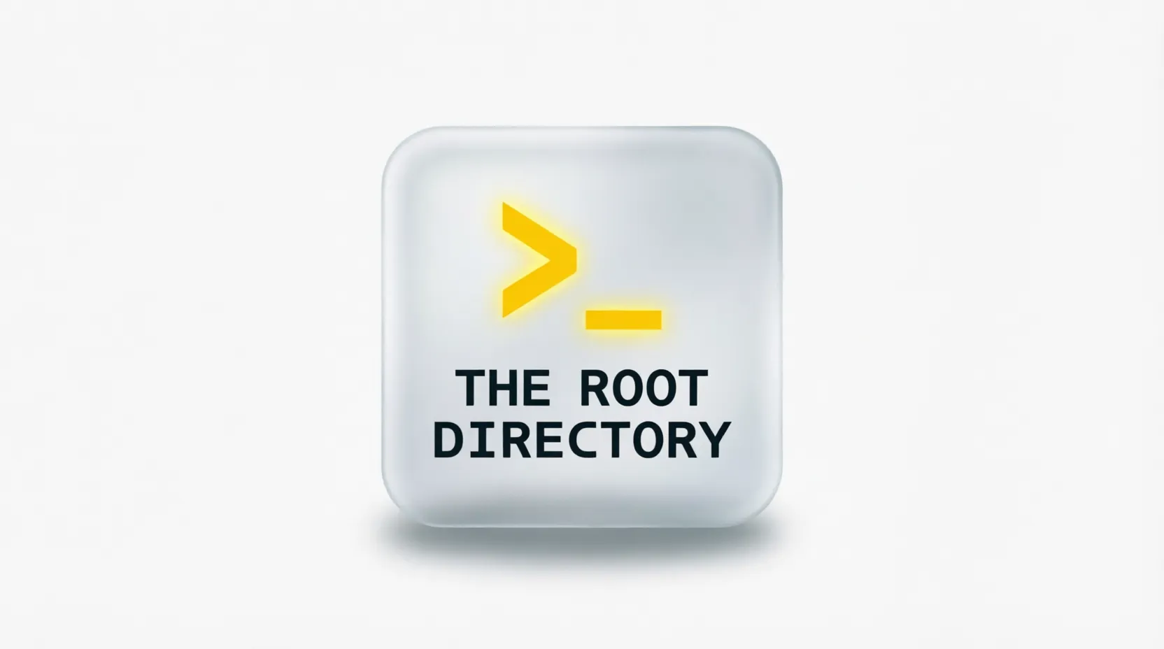 The Root Directory